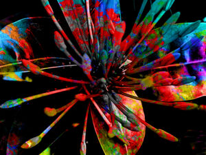 Christmas Prism Petals Abstract
