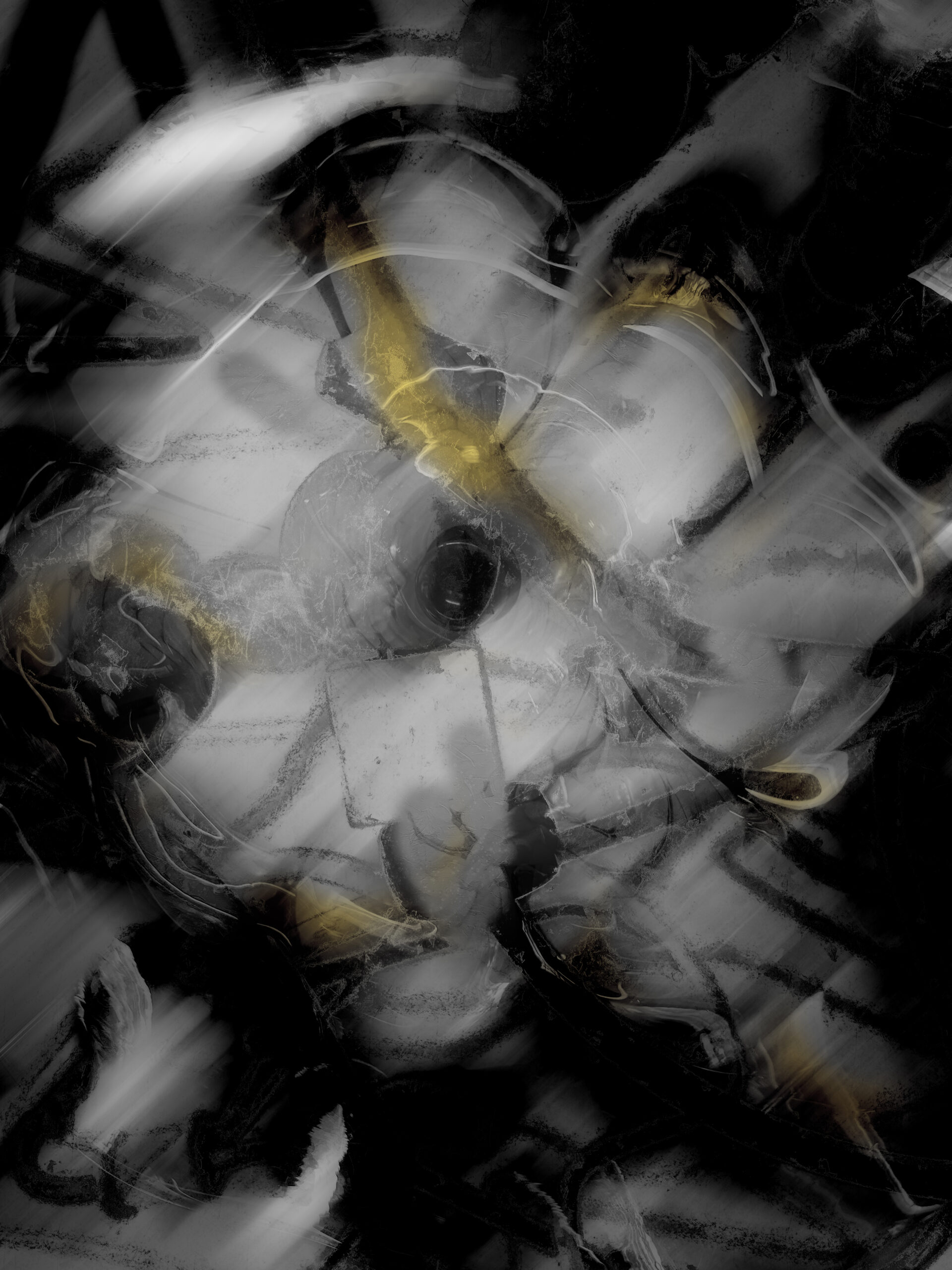 Black and White Flower Abstract Art