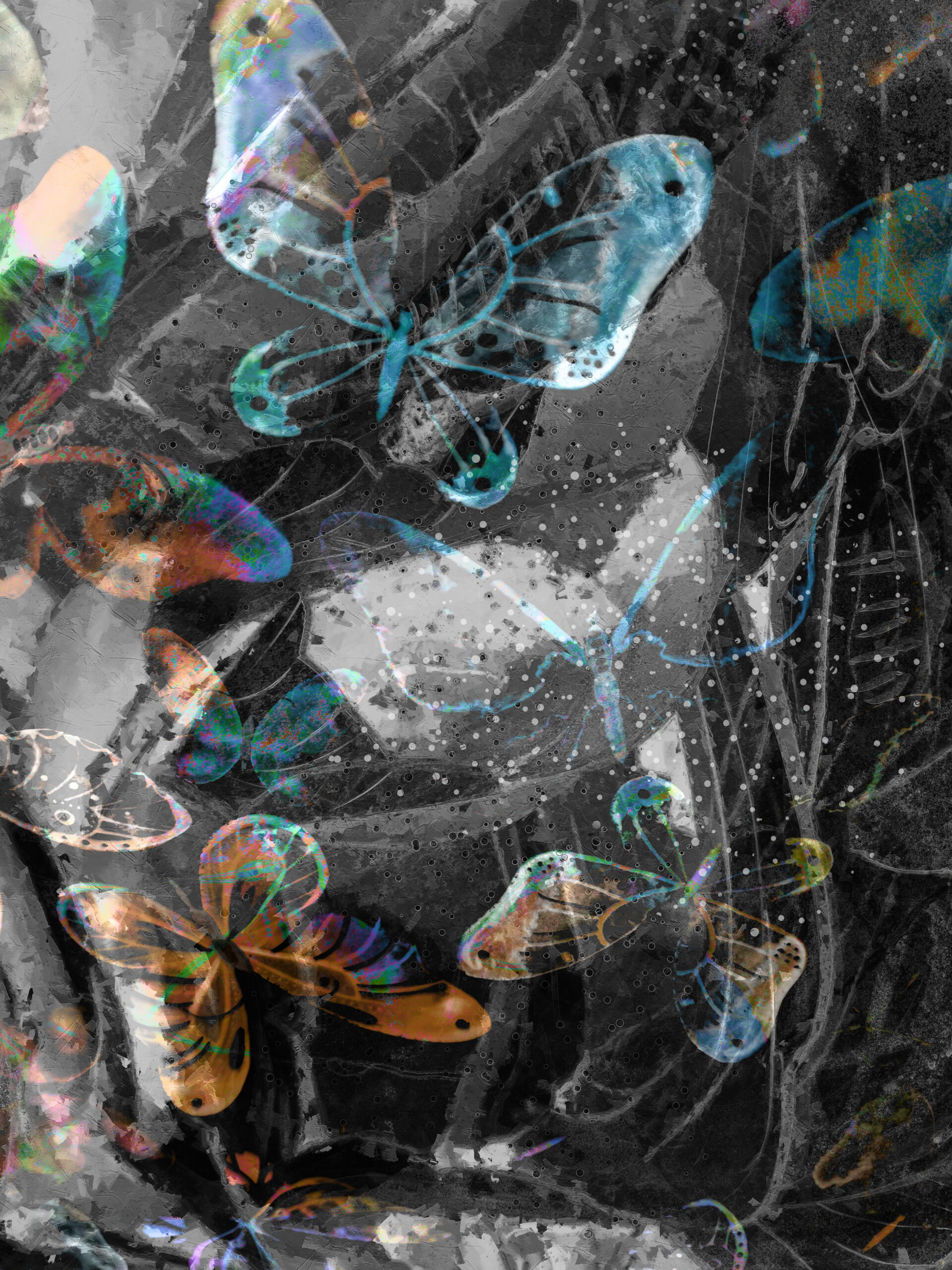 Butterfly Art