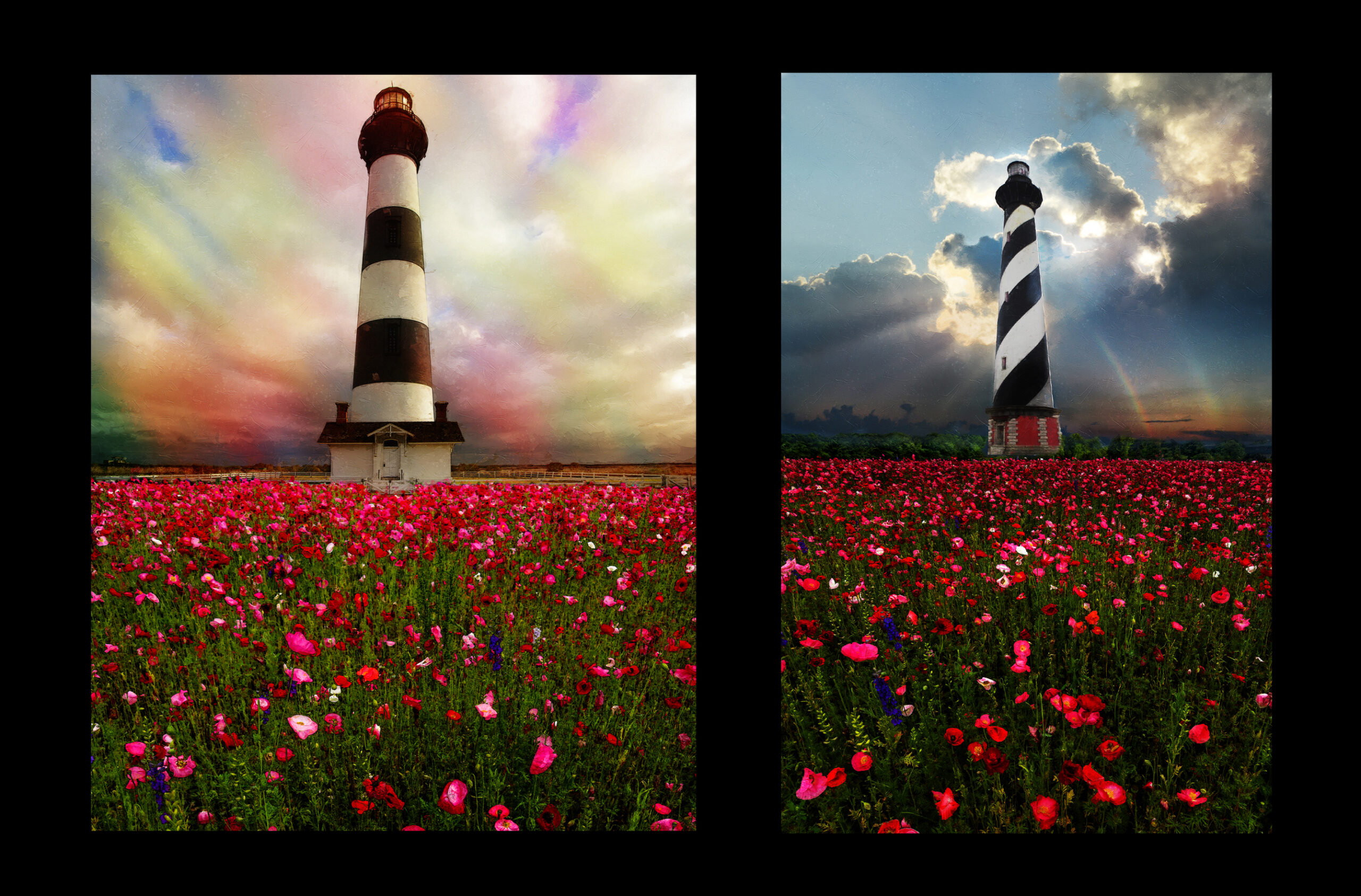 Bodie Island and Cape Hatteras Lighthouses with Poppy Fields Fine Art