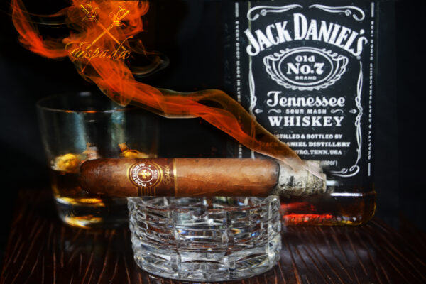 Montecristo Espada Cigar with Jack Daniel's Bourbon Whiskey Painting on Canvas by Artist Michael John Valentine of Lake Norman