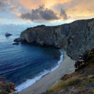 The Wild Flowers On The Coast Of California Art