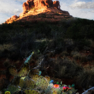 Sedona Cactus Wall Art on Canvas by Artist Michael John Valentine of Huntersville North Carolina