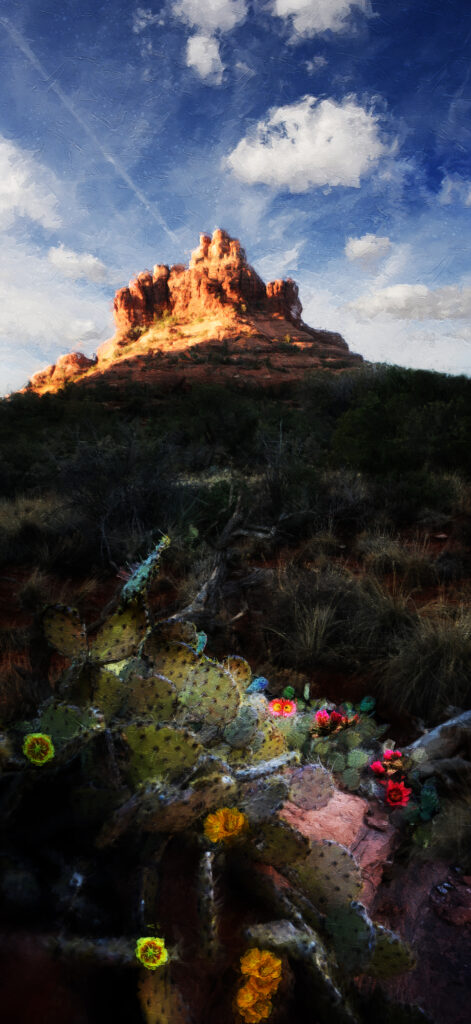 Sedona Arizona cactus