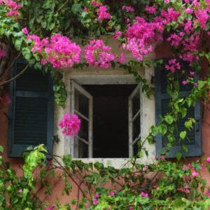 Corfu Greece Window surrounded by pink oleanders painting
