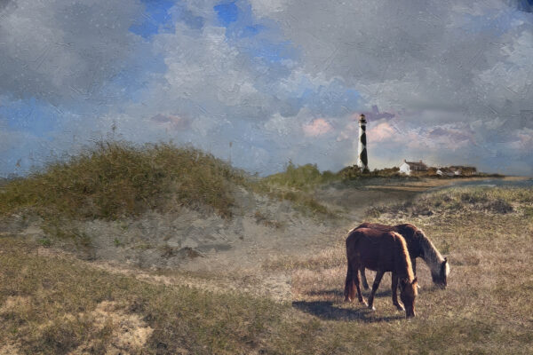 Banker Ponies and Cape Lookout Lighthouse Outer Banks North Carolina