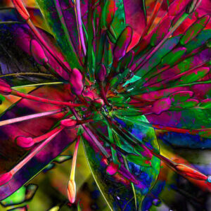 close up view of abstract flower petals