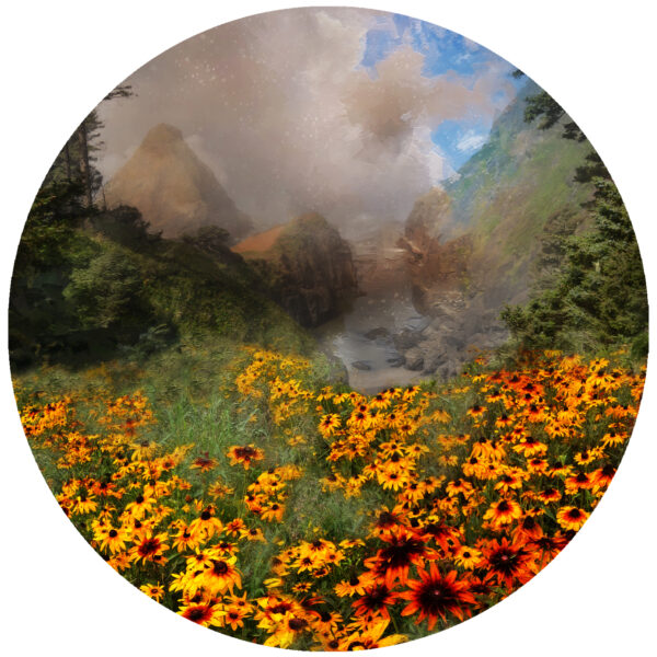 Black Eyed Suzan Oregon Coast Art