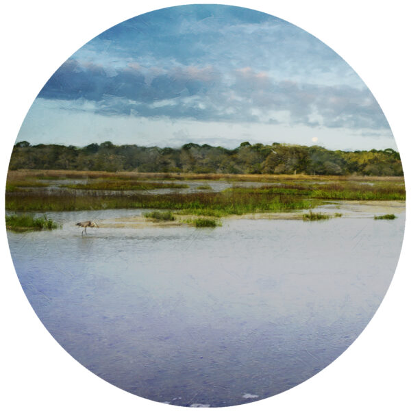 Hilton Head Island Low Tide Art