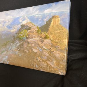Deep in The Grand Canyon Wall Art Painting on Canvas by Lake Norman artist Michael John Valentine