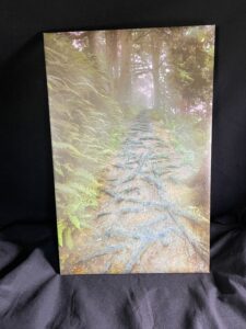 A Hike on an Oregon Trail Wall Art gallery Wrapped Canvas by Artist Michael John Valentine of Huntersville North Carolina
