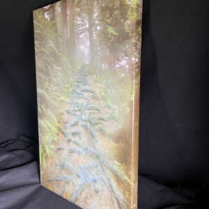 A Hike on an Oregon Trail Wall Art gallery Wrapped Canvas by Artist Michael John Valentine of Huntersville North Carolina