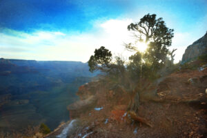 Grand Canyon Sunrise Tree of Light Wall Art by Artist Michael John Valentine of Lake Norman