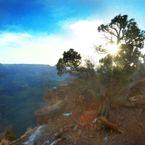 Grand Canyon Sunrise Tree of Light Wall Art by Artist Michael John Valentine of Lake Norman