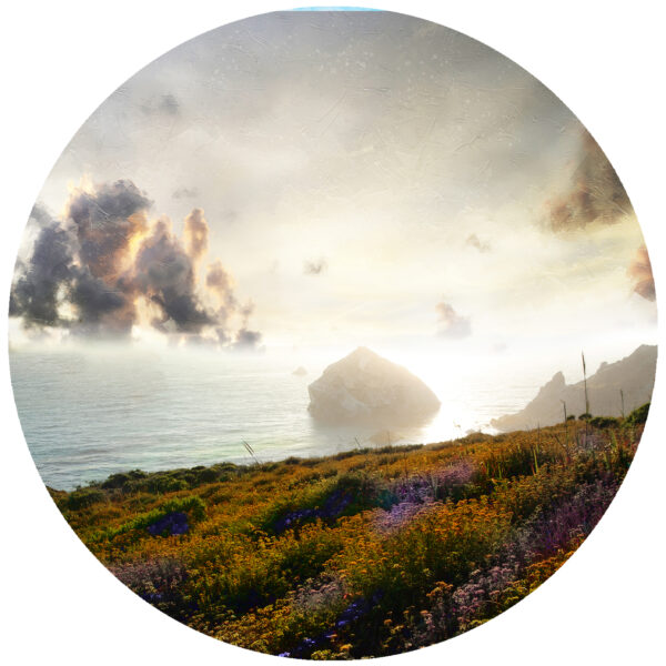 California Coastal Wildflower Art