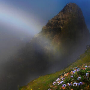 Devils Peak Rainbow and Flowers Oregon Coast Art
