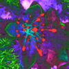 Abstract Flowering Canvas painting in various sizes by artist Michael John Valentine of Lake Norman