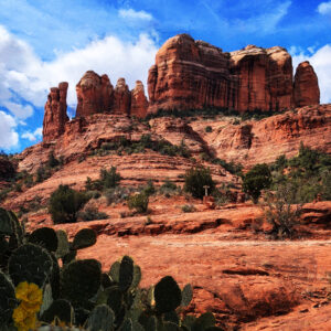 Sedona Cactus Art