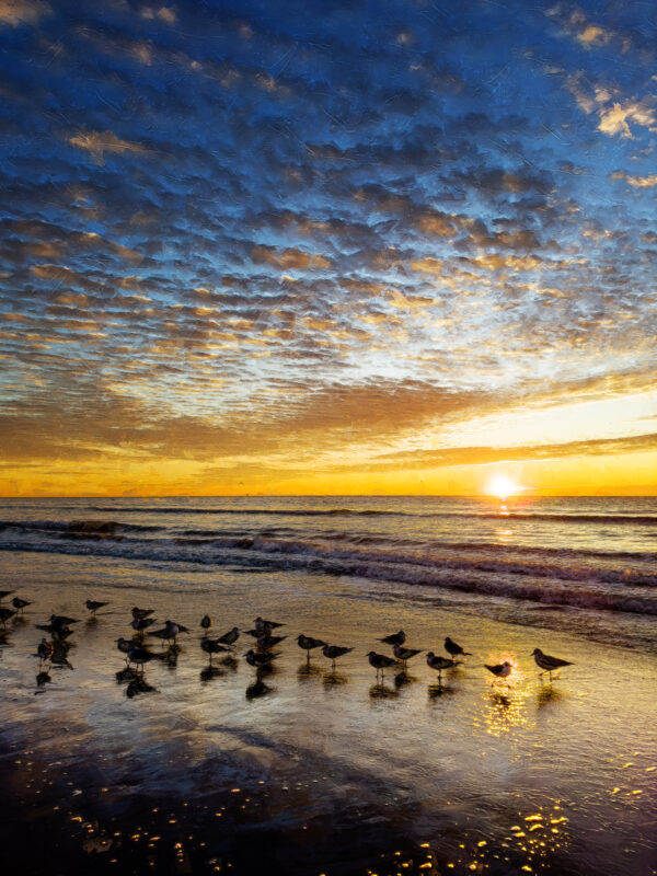 Myrtle Beach Sunrise Painting by Artist Michael John Valentine