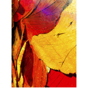 Heart Of This Earth is an Abstract Poster Print by Artist Michael John Valentine