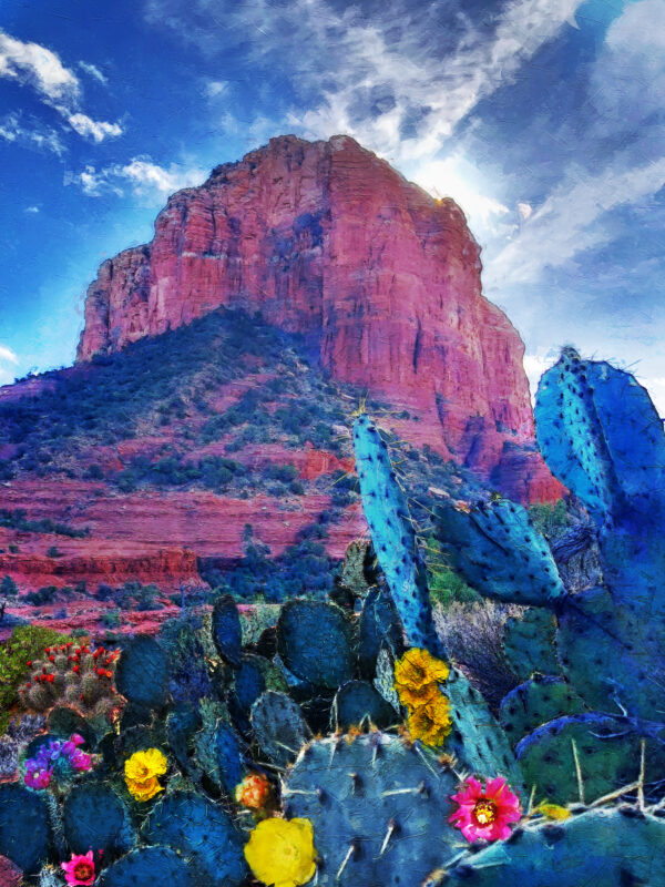 The Flowering Cactus Of Sedona Arizona On Canvas By Artist Michael John Valentine