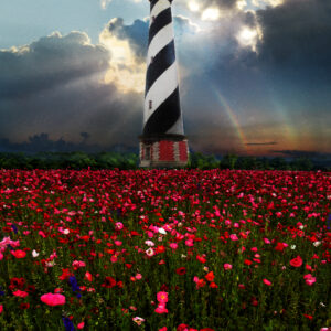 The Cape Hatteras Lighthouse with poppy fields painting by artist Michael John Valentine
