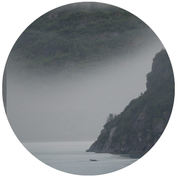 When The Fog Rolls In Alaska Art