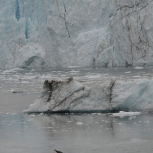 Margerie Glacier at Glacier Bay National Park Whale Tail