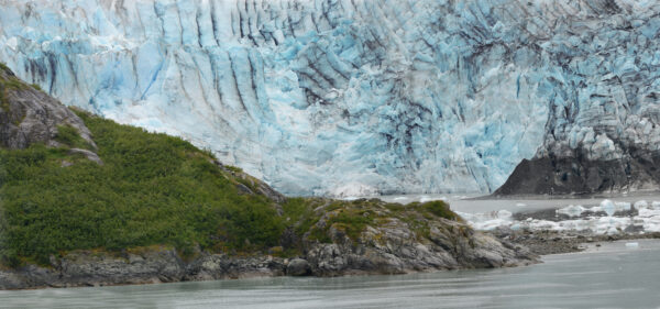 Alaska Lamplugh Glacier in Glacier bay National Park