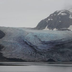 Alaska Marerie Glacier Bay National Park Panoramic