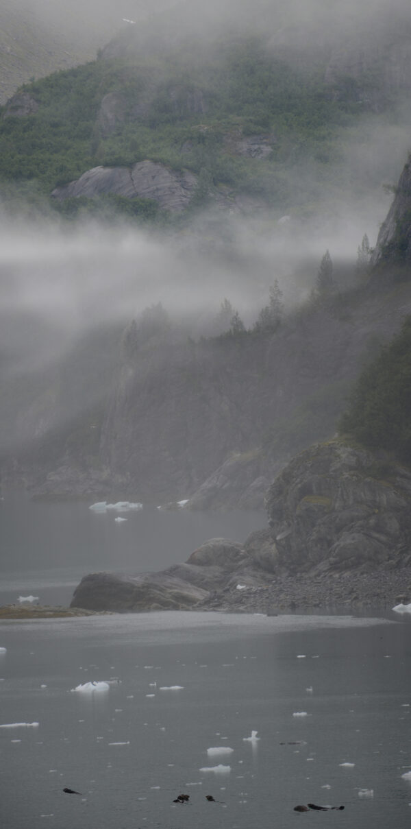 Alaska Smoke on the water and sky with Sea Otters