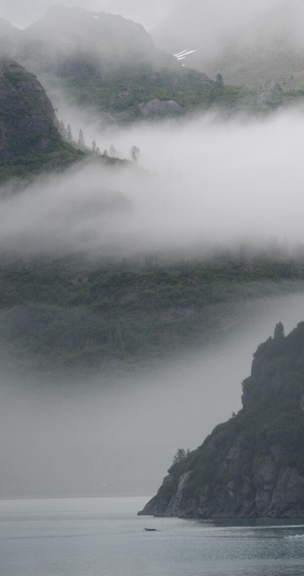 Alaska When the fog rolls in