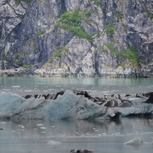 Glacier Bay National Park Alaska Floating Iceberg