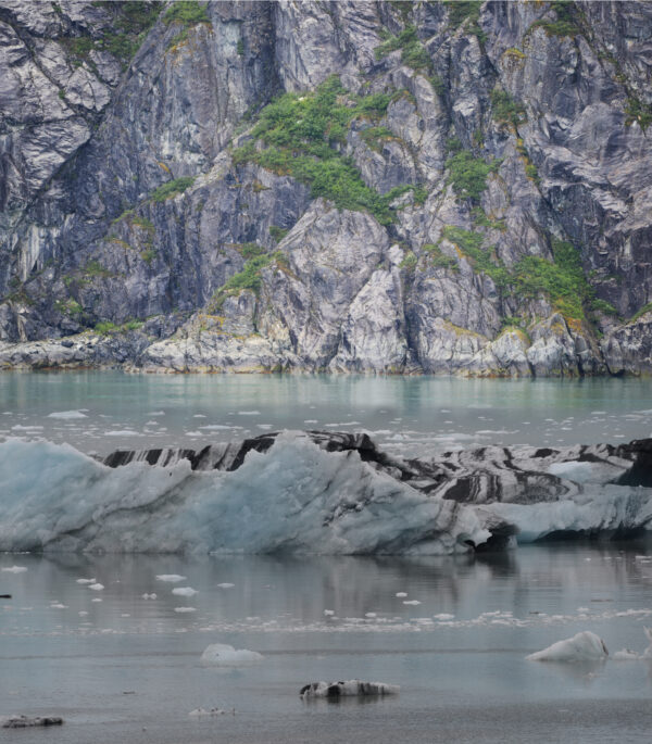 Glacier Bay National Park Alaska Floating Iceberg