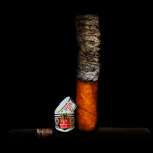 Hoyo De Monterrey Habana Epicure No3 Painting