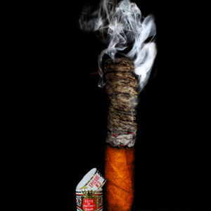 Hoyo De Monterrey Habana Epicure No3 with Smoke Painting