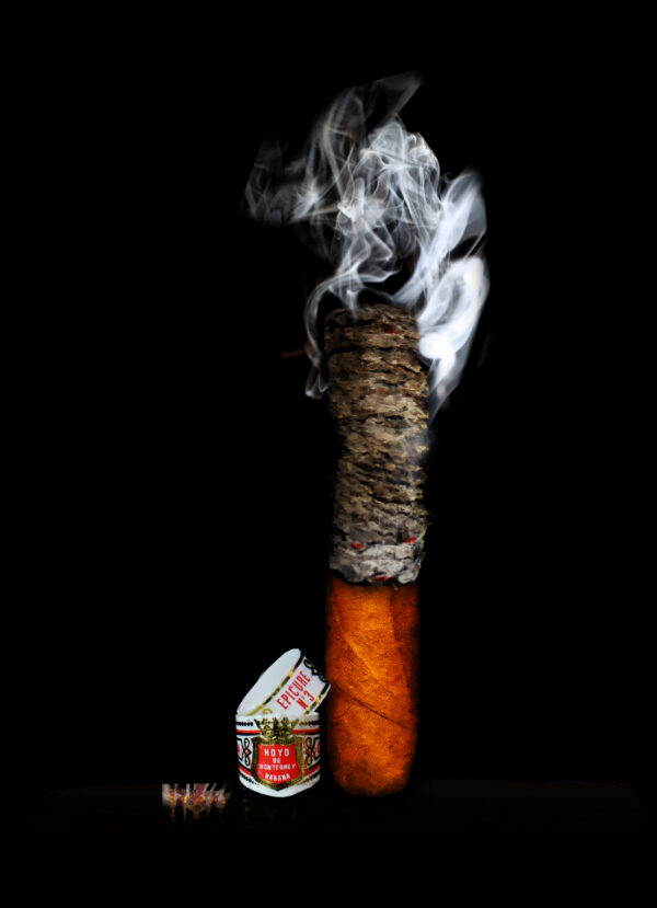 Hoyo De Monterrey Habana Epicure No3 with Smoke Painting