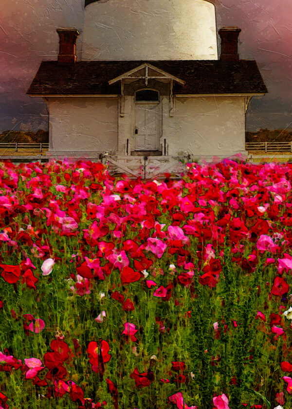 11 x 14 Fine Art Matted Print Bodie Island Lighthouse Flowers OBX