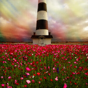 11 x 14 Fine Art matted Print Bodie Island Lighthouse Poppy Flowers OBX