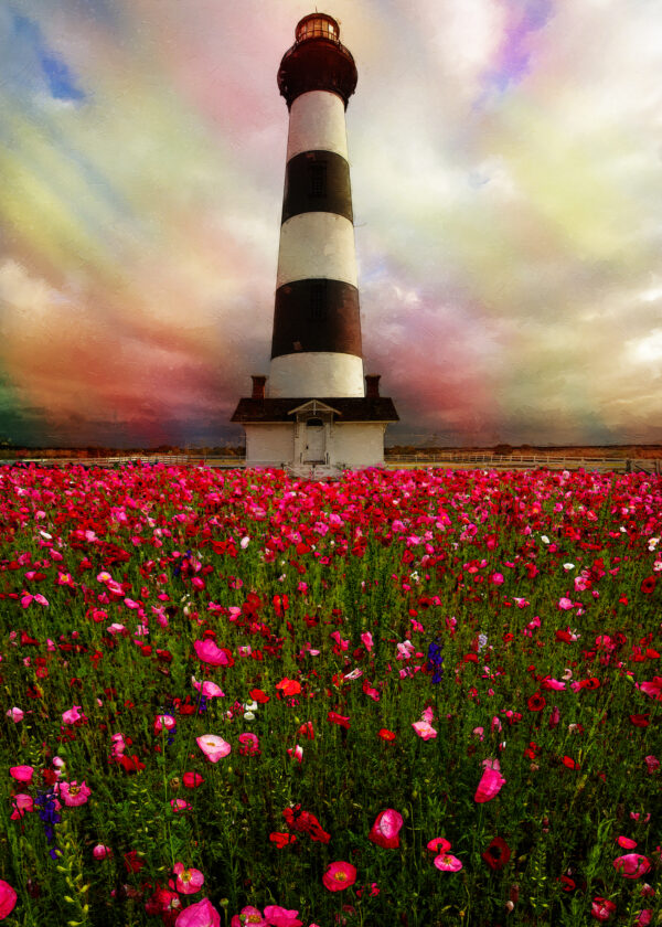 11 x 14 Fine Art matted Print Bodie Island Lighthouse Poppy Flowers OBX