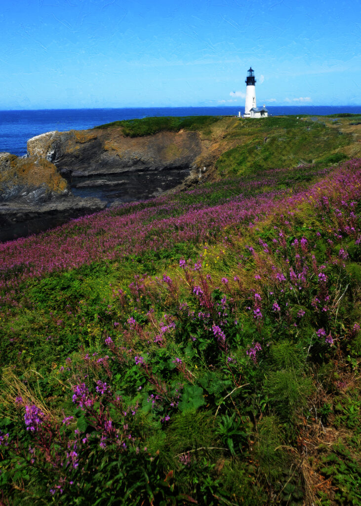 11 x 14 matted fine art print Yaquina Lighthouse Flowers