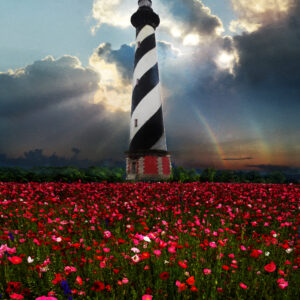 11 x 14 fine art matted print Cape Hatteras Poppy Flowers Lighthouse