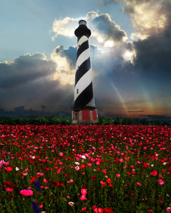 11 x 14 fine art matted print Cape Hatteras Poppy Flowers Lighthouse