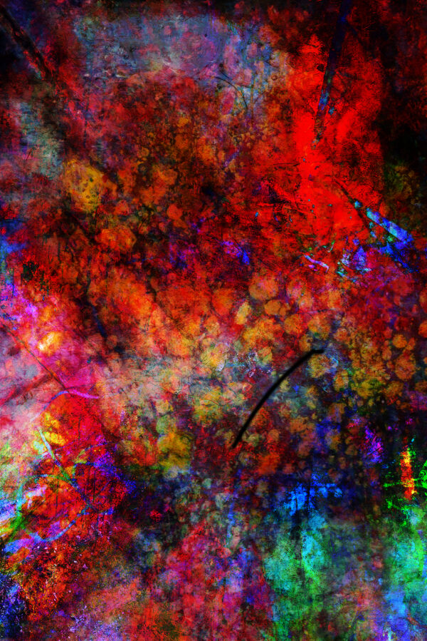 Abstract Monet Flowers