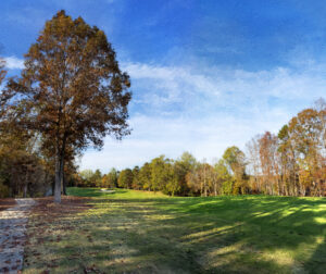 River Run Golf Course Davidson North Carolina Third Hole Art