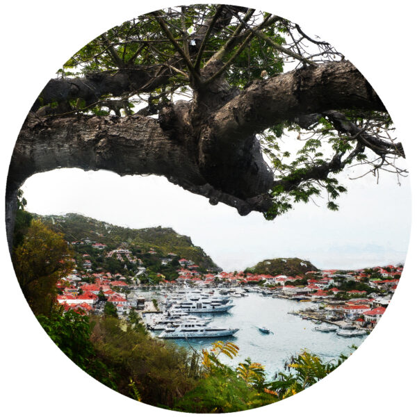 The Gustavia Lighthouse Tree St Barts Decal