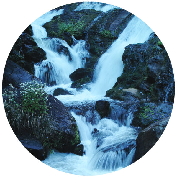 4 inch round peel and stick decal - Image 14