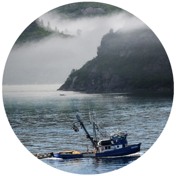 Alaskan Fishing Boat In The Fog Decal