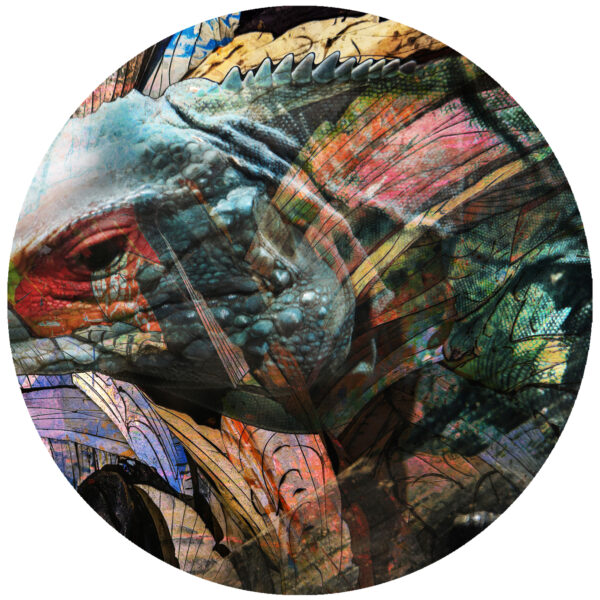 blending into this earth abstract decal