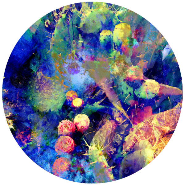cactus flower abstract decal